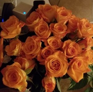 Meet your Posher, Lori ann